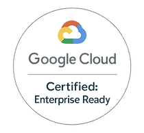 Google Cloud partner enterprise